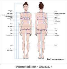 Pain with resisted wrist extension with the elbow in full extension. Diagram Of A Woman Fusebox And Wiring Diagram Device Lot Device Lot Sirtarghe It