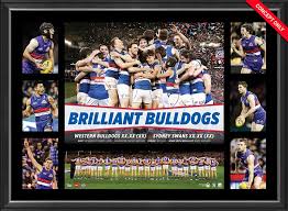 Pos num player mt k. Western Bulldogs Afl Premiers 2016