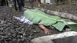 Dan warna pada daun adalah hijau tua. Laki Laki Di Lampung Utara Tewas Ditabrak Kereta Api Bagian 1