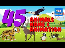 It looks a bit like a cross between a pig or an anteater with its distinctive snout whose upper lip curves and hangs over the lower lip. Learn Animals Name For Kids In English Belajar Bahasa Inggris Anak 123 Lagu Anak Indonesia Youtube Animals Name In English Animals Learning