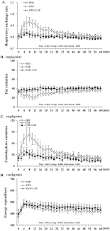 A stupid, childish mistake … Physical Activity And Nutrition