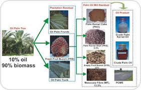 Efb commonly has a high moisture content, which lowers the combustion temperature and reduces. 8 Efb Pellets In Indonesia And Malaysia Has Not Been Taken Ideas Pellet Palm Oil Rainfall