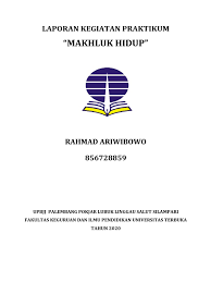 Tahan senyaman mungkin, lalu hembuskan nafas secara halus lewat mulut sambil mengempiskan dada dan perut. Praktikum Ipa Modul 1 Rahmad Ok Dikonversi Pdf