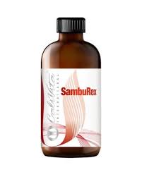 Referência materno infantil do estado do pará. Poze Sifilis Femei