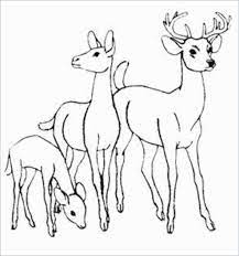 Search through 623,989 free printable colorings at getcolorings. Printable Deer Coloring Pages Pdf Download Free Coloring Sheets Deer Coloring Pages Animal Coloring Pages Deer Coloring Page