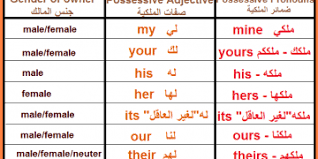 شرح جميع دروس قواعد اللغة الانجليزية الاساسية كاملة للمبتدئين و بالتفاصيل باللغة العربية English Grammar Grammar English