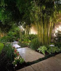The hedge is narrow, so it does not overwhelm the space, but it provides a good bit of cover. Landscape Architecture Tropical Garden Tropical Landscape Design Tropical Landscaping Garden Design