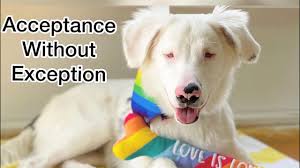 DOGtor Yakoo's DEAFBLIND STORY