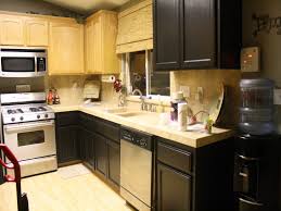 Painting Laminate Kitchen Cabinets Ideas Oscarsplace Furniture Ideas Best Painting Laminate Cabinets Ideas