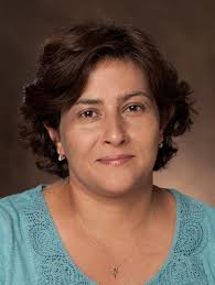 MAA Ohio Section Fall Meeting to be held On-Line