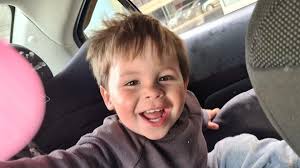 Alarming dog attack figure in one state