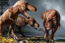 Doublet of rajah and roy. How Many T Rexes Were There Billions Berkeley News