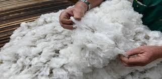Maybe you would like to learn more about one of these? Macam Macam Serat Wool Yang Biasa Dipakai Dalam Pembuatan Produk Tekstil Toko Harits