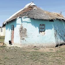 The month of march celebrates the contributions women have made throughout history in science, politics, law, sports, the arts, entertainment, and many other fields. Saving Tambo S Home