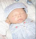 Descendants of William Wilson Potter