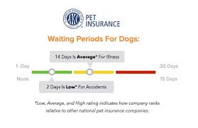 We did not find results for: Akc Pet Insurance Review Does It Offer The Best Coverage At The Lowest Price Caninejournal Com