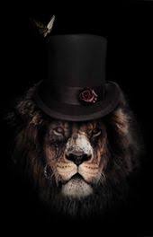 Classy Lion Ii Canvas Art By Wouter Rikken En 2020 Belle Photo Images De Lion