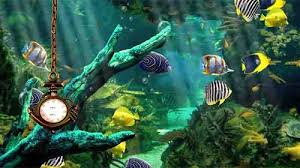 обои на рабочий стол аквариум с плавающими рыбками бесплатно Aquarium Clock Na Android Skachat Besplatno Zhivye Oboi Dlya Android