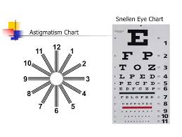 New design flexible spine model stand included. Anatomy Overlay Chart 17 Best Images About Iridology On Pinterest Foot Anatomical Wall Charts And Posters From 3b Scientific Are Ideal For Teaching Human Anatomy Patient Education And Medical Studies Ranc Akbana