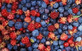 Free shipping on orders over $99 with arrive alive guarantee from the tree center. Wild Berry Hd Wallpapers Free Download Wallpaperbetter