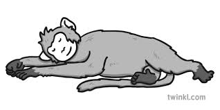 Look at links below to get more options for getting and using clip art. Sleeping Monkey Black And White Illustration Twinkl
