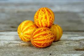 Fuzzy Pigs Squash Swords And More Of The World S Amazing Vanishing Heirloom Breeds Heirloom Seeds Fresh Fruits And Vegetables Edible Food