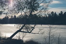 Bildresultat för långpromenad