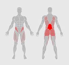 Spinecare decompression and chiropractic center. Lower Back Workout
