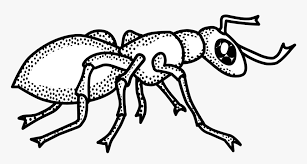 Clipartmax is a largest transparent clipart images collection with png format. Ant Black And White Ant Clipart Outline Collection Clip Art Black And White Ant Hd Png Download Transparent Png Image Pngitem