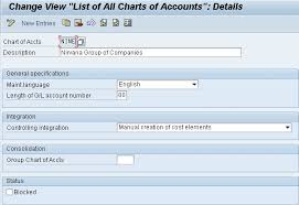 financials and controlling chart of accounts and account group