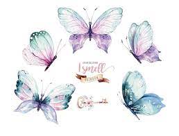 Watercolor Butterfly Clipart Watercolor Butterfly Individual Png Files Hand Painted Vibrant Bohemian Clipart Butterfly Watercolor Butterfly Clip Art Beautiful Butterflies Art