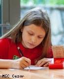 Polski Związek Brydża Sportowego