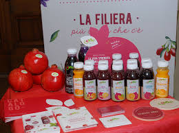 We did not find results for: Le Spremute Lome Super Fruit Della Masseria Fruttirossi Di Castellaneta In Puglia