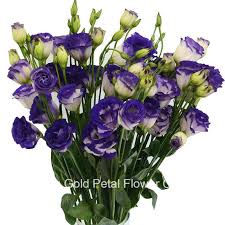 Wholesale fresh cut flowers online. Wholesale Fresh Cut Flowers Wholesale Fresh Cut Flowers Manufacturers Suppliers Made In China Com