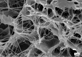 Collagen This Is The Most Abundant Protein In The Human Body Accounting For 6 Of The Body S Mass It Is Collagen Vascular Disease Collagen Collagen Benefits