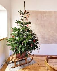 Weihnachtsbaum Auf Dem Schlitten Weihnachtsbaum Urlaub Dekorieren Neujahr Dekorationen