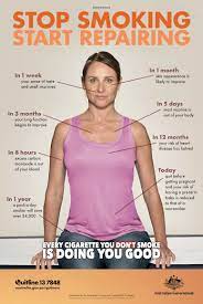 Pin On Health