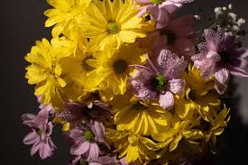 Local florist and gift shop spreading positivity since 1973. Blog Steve S Flowers Blog