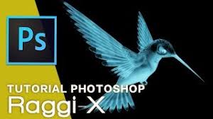 Photoshop isn't magic but it has come a long way since since version 6.01. How To X Ray In Photoshop
