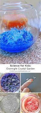 Science For Kids How To Grow Crystals Overnight Science For Kids Fun Science Science Experiments Kids