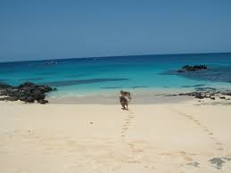 Ascension island — vulkanische insel im südlichen atlantik, auf halbem weg zwischen afrika und südamerika, in 1600 kilometer westlich von der afrikanischen küste entfernt. Ascension Island Hotel 2018 World S Best Hotels