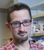 Timothy J. Koh, PhD, University of Illinois at Chicago, Author at Jain  Foundation