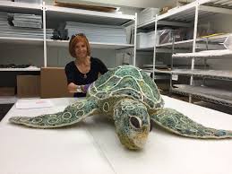 Turtle is the experience design studio of josh zak and justin tan. T Shirts Turtles Journeys To The Island Of Erub Museum Of Anthropology At Ubc