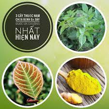 May 09, 2020 · kết quả là 100% bệnh nhân hài lòng về hiệu quả sản phẩm mang lại, 98.6% điều trị dứt điểm sau 3 tuần, 100% không bị dị ứng, tác dụng phụ. 3 Cay Thuá»'c Nam Chá»¯a Bá»‡nh Dáº¡ Day Ä'Æ°á»£c Æ°a Chuá»™ng Nháº¥t Hiá»‡n Nay Tra Bstar Mon Qua Cho Sá»©c Khá»e