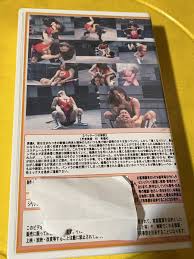 ラピュタビデオテープ 真性MIX第一章【真実】芝宮美香ミックスプロレスキャットファイト