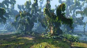 3d Model Of Borneo Forest Hd Rainforest Trees Borneo Forest