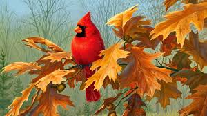 Free Download Cardinal Wallpaper Id 24676 1080p For Computer Cardinal wallpapers, backgrounds, images— best cardinal desktop wallpaper sort wallpapers by: cardinal wallpaper id 24676 1080p