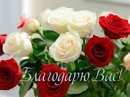 Картинки с надписями. Благодарю Вас!.