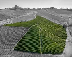 Image result for Vigna