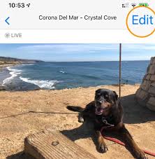 Step 4 start to convert live photo How To Edit Live Photos On Your Iphone Appletoolbox